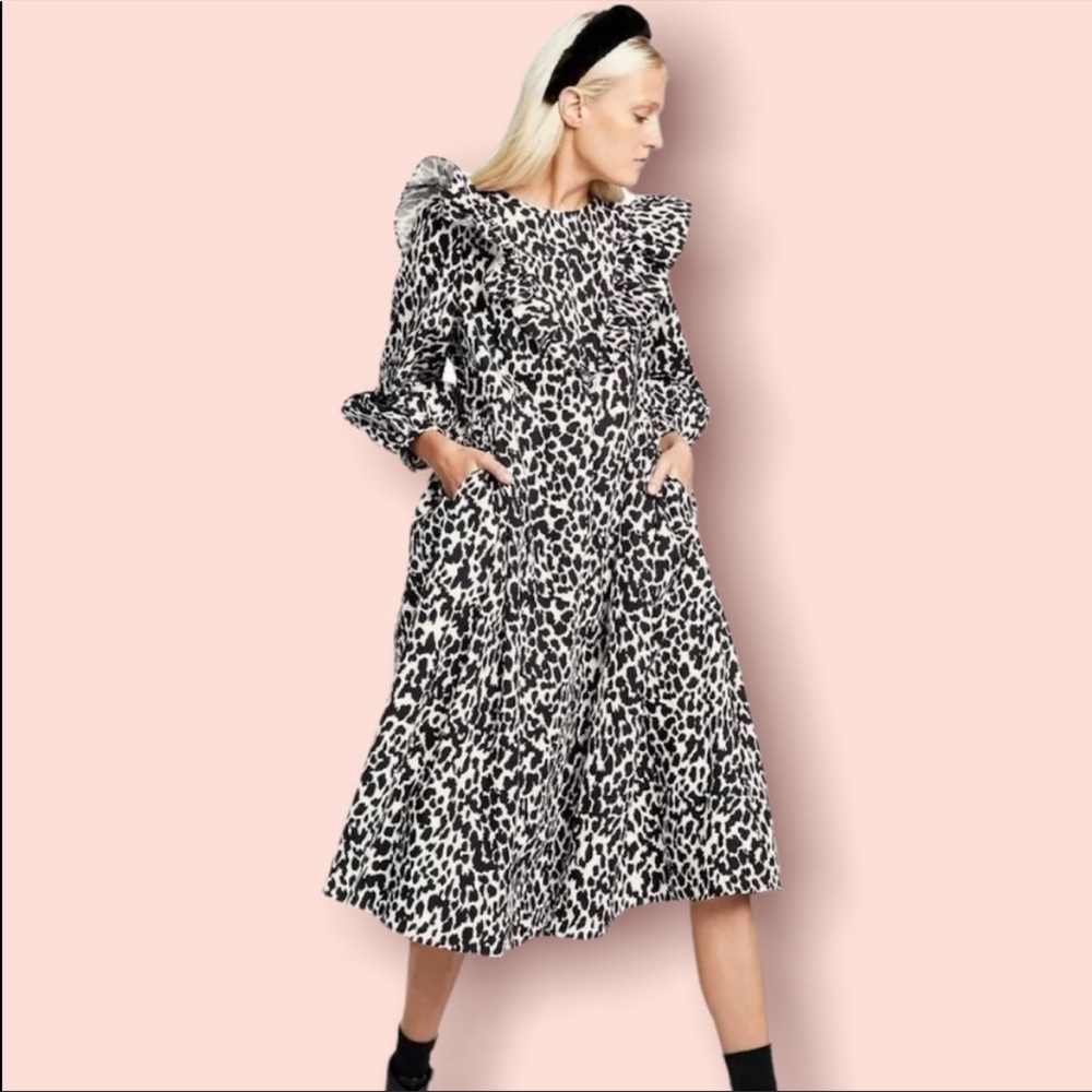 NWOT Leopard Print Long Sleeve Dress - Sandy Liang